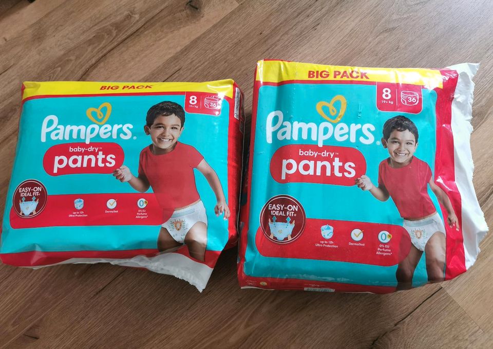 Pampers baby-dry pants Gr.8 Big Pack in Diepenau