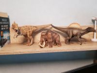 Goße Schleich Dinosaurier Mammut Tiere Niedersachsen - Klein Heikeland Vorschau