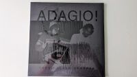 Adagio! - These Never Dropped (90s Tapes) 2 LP Baden-Württemberg - Beuren Vorschau