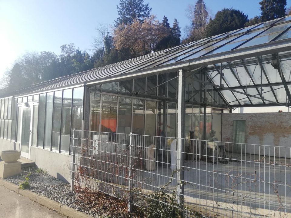 Großes Gewächshaus bereits abgebaut 260m2 zu verkaufen! in Denzlingen