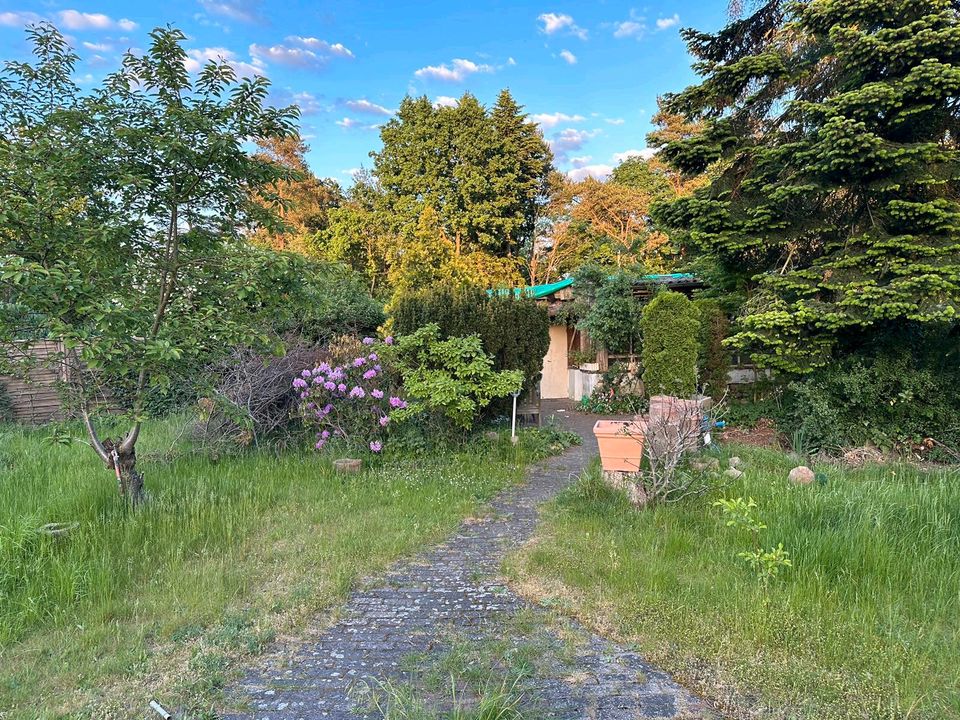 Kleingarten/Schrebergarten Kiebitzsee nähe Kaufland Celle in Wathlingen