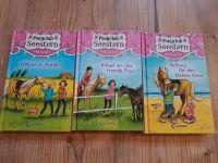 Set 3 Ponyclub Seestern Bücher absolut neuwertig Pferde Mädchen Hessen - Gießen Vorschau