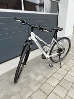 Mountainbike Damen Bayern - Cham Vorschau