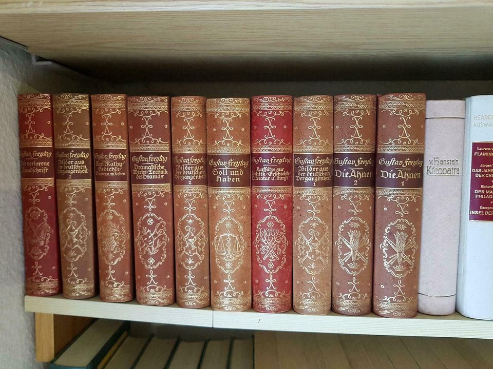 Bücher Serie von Gustav Freitag in Eitorf