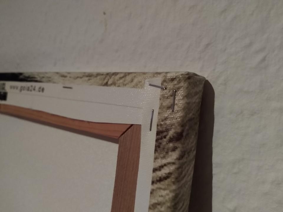 Wandbild Löwe Löwenkopf Leinwand dreiteilig Triptychon in Lilienthal