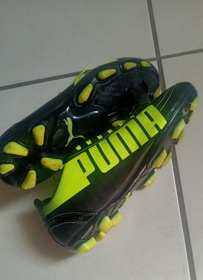 Puma Fußball Schuhe 36 in Gronau (Westfalen)