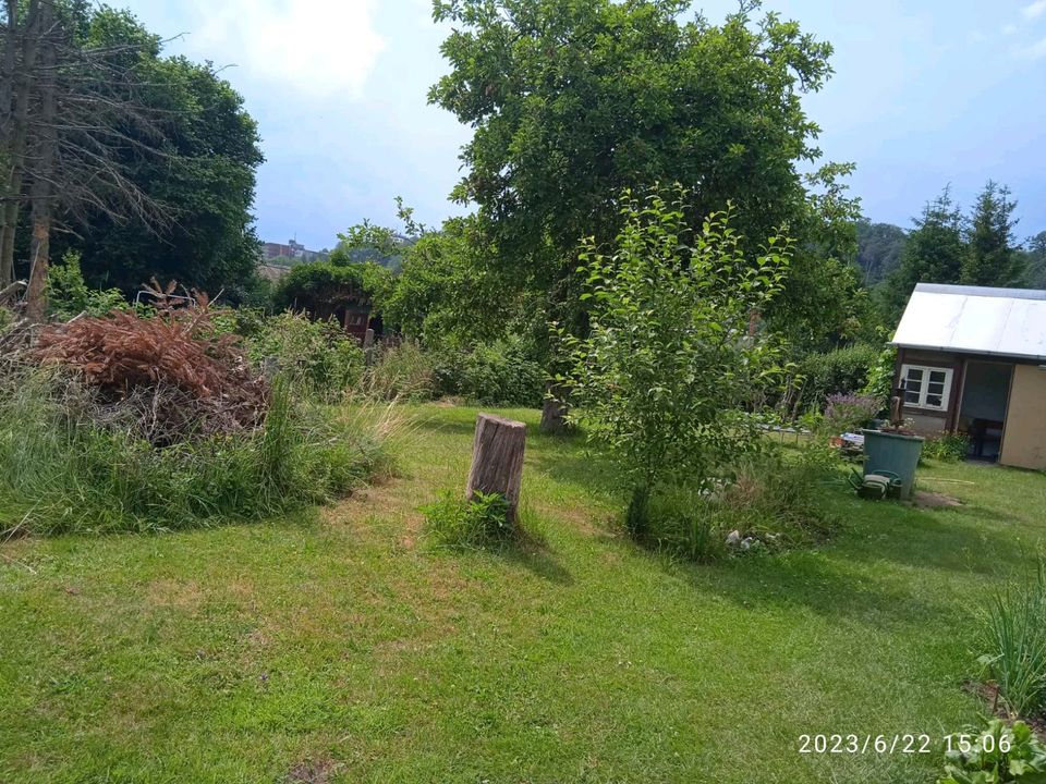 Schrebergarten in Frankenberg (Eder)