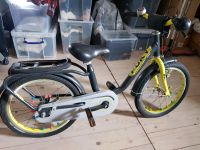 Puky Fahrrad 18 Zoll Grau Altona - Hamburg Groß Flottbek Vorschau