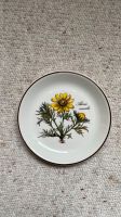 Villeroy und Boch Botanica - Adonis vernalis - Wandteller, Teller Schleswig-Holstein - Kaltenkirchen Vorschau