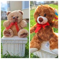 Teddybär Kuscheltier Plüschtier Stofftier Baden-Württemberg - Emmendingen Vorschau