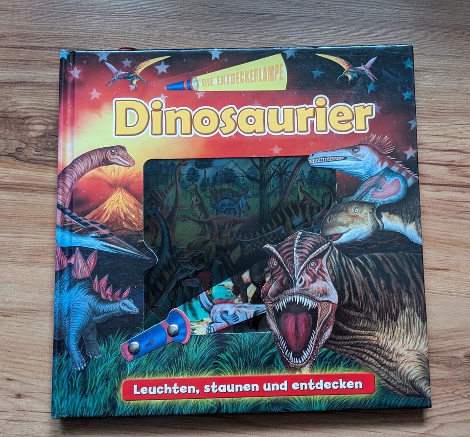 Kinderbuch, Dinosaurierbuch in Luckenwalde