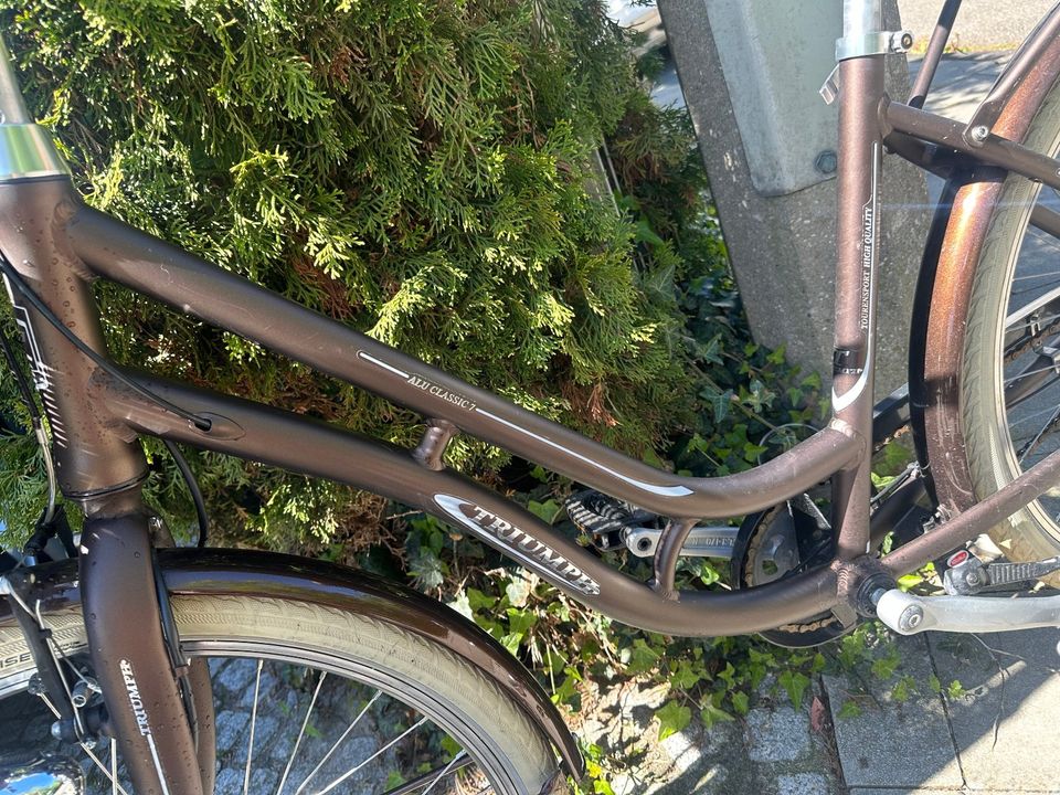 Schönes Triumph Damenrad Cityrad 26 Zoll in Erlangen