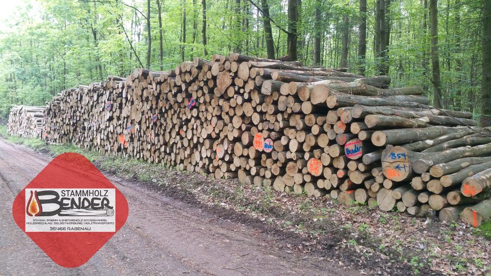 Preisknaller● halbtrockenes Esche Brennholz /wie Buche Kaminholz in Marburg