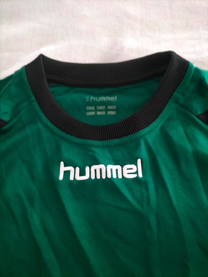 Hummel t Shirt gr. S grün Oberteil Kurzarm Hemd Sport Herrenkl in Oberhausen