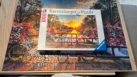 Puzzle Ravensburger 1000 Teile Niedersachsen - Hildesheim Vorschau