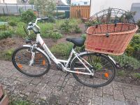 Hundefahrradkorb XXL bis 15kg  *NEU* Nordrhein-Westfalen - Salzkotten Vorschau