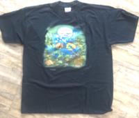 Fun T-Shirt, Gr. XXL, neu, 100 % Baumwolle Sachsen - Werdau Vorschau