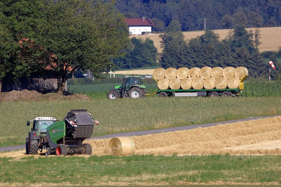 Landwirt Schlepperfahrer für Ackerbau u. Biogas Topgehalt Fendt in Schleswig