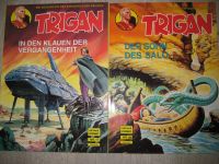 Trigan Comic Sammlung Hetke Verlag Rheinland-Pfalz - Mudersbach Vorschau