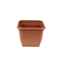 Pflanzkübel Pia 19x19cm terracotta Pflanztopf Duisburg - Duisburg-Mitte Vorschau