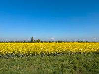 Haushaltshilfe/ Pomoc domowa Niedersachsen - Bad Nenndorf Vorschau