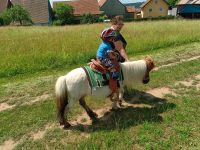 Ponyreiten für Kinder zum selber führen Pony Reiten Bayern - Geroda Vorschau