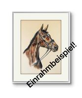Pastell Portrait Pferd Stute zeichnung Bild Gemälde Rheinländer Nordrhein-Westfalen - Kevelaer Vorschau