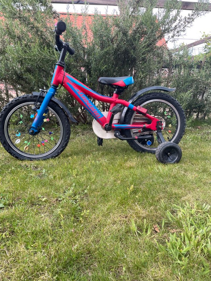 Kinderfahrrad blau rot 3-5 Jahre in Gelmer