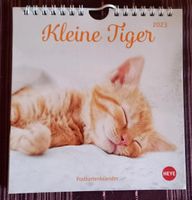 Katzenkalender 2023 Postkarten neu unbenutzt 12 Stück Leipzig - Leipzig, Südvorstadt Vorschau