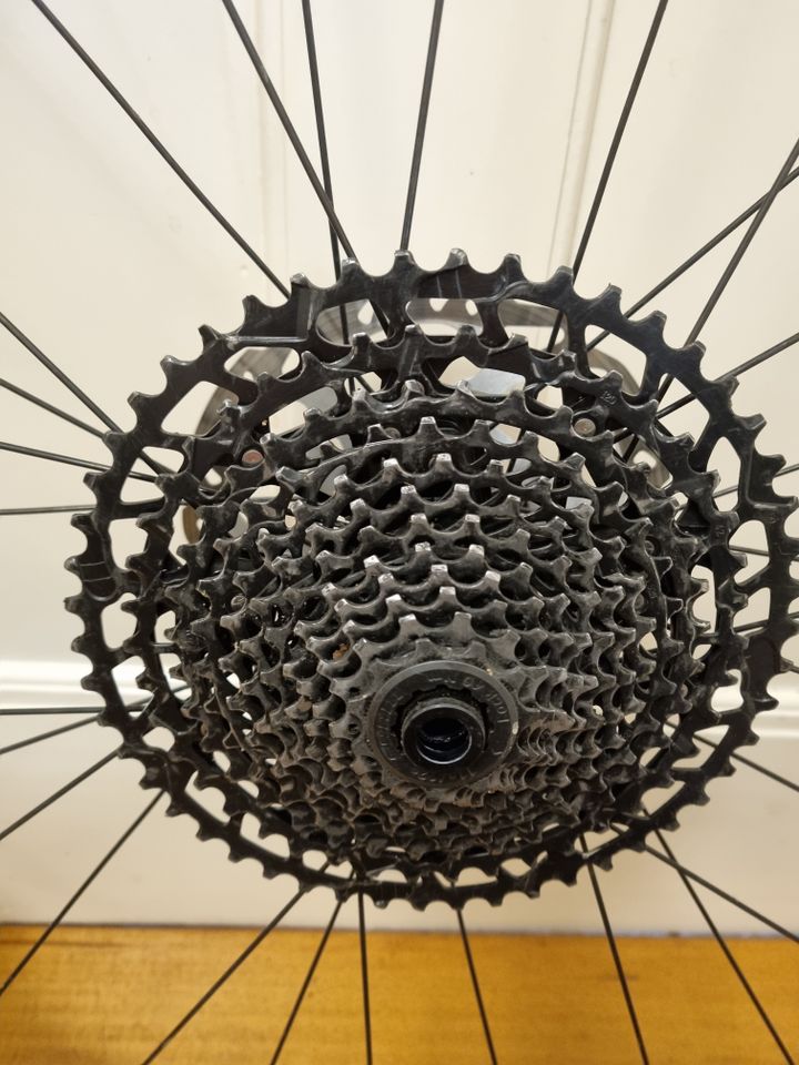 Kassette SRAM NX Eagle 12fach 11-50 in Heidelberg