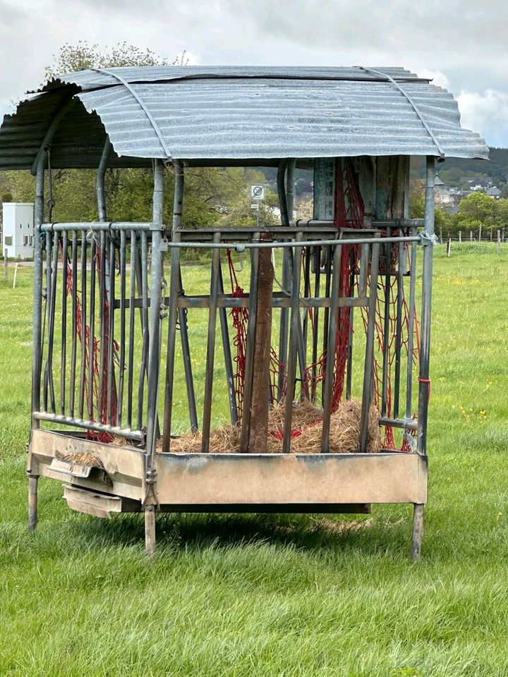 Heuraufe für rundballen in Bad Münstereifel