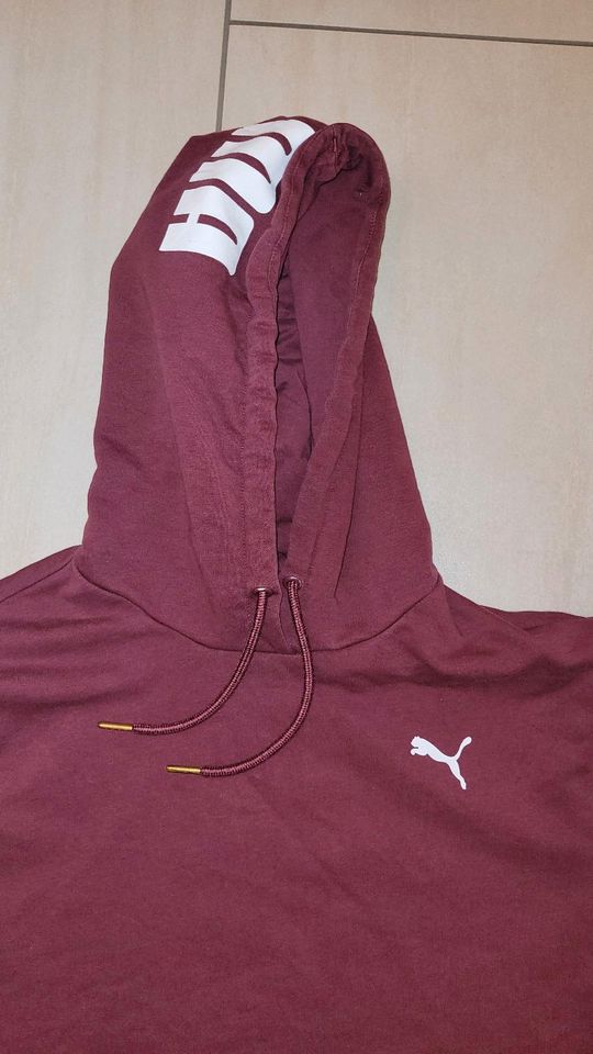 Puma Kapuzenpullover Gr. L in Nienburg (Weser)