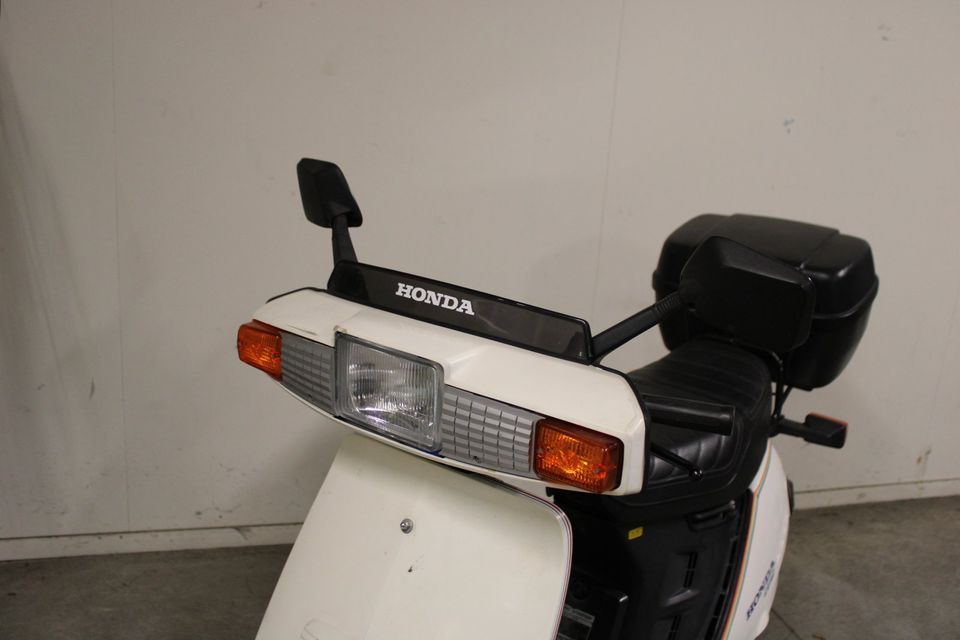 Honda NH 80 Lead 1983 Roller Oldtimer Motorrad in Vreden