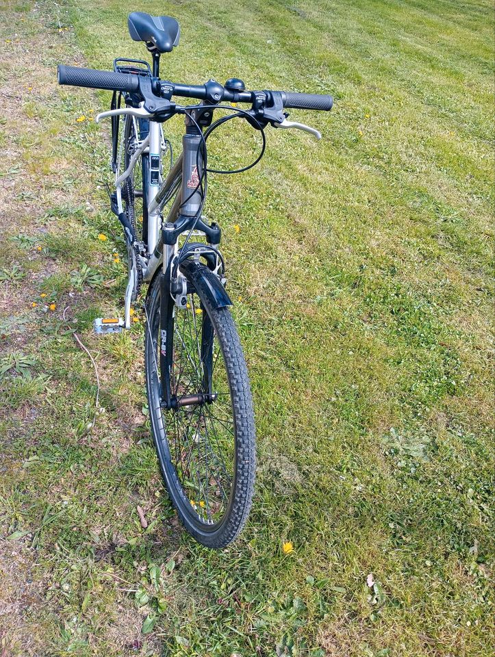 Raleigh Aspen Damenrad Trekkingrad Citybike 28"/ Magura HS 11 in Marburg