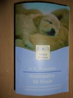 Homöopathie für Hunde Niedersachsen - Springe Vorschau