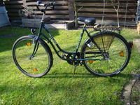 Damenfahrrad Antilope Nostalgie Hollandrad 28 Zoll. Nordrhein-Westfalen - Drensteinfurt Vorschau