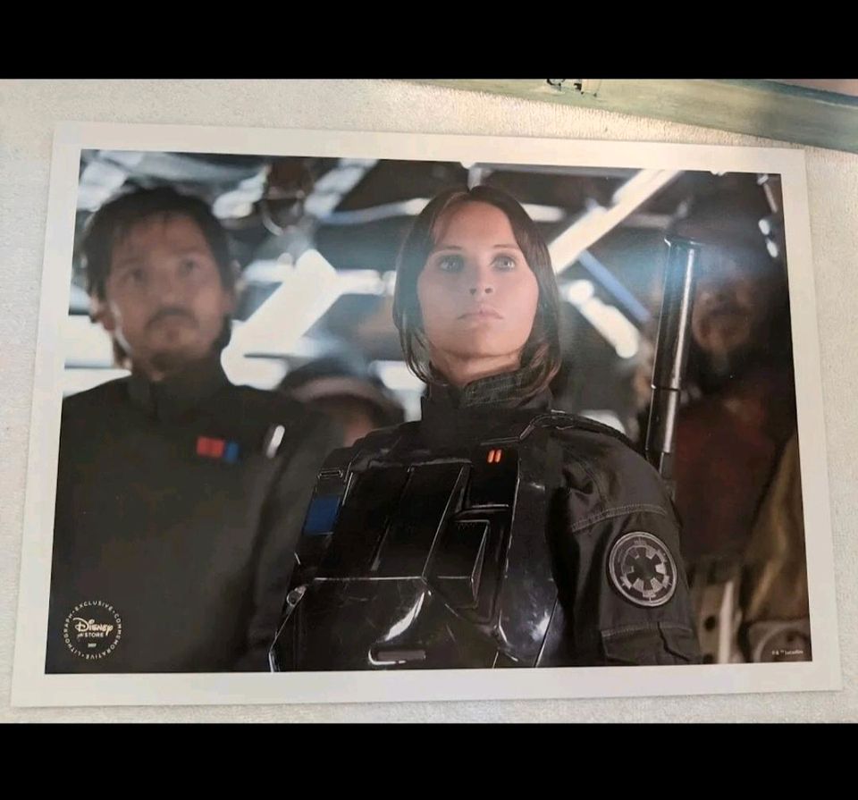 Star Wars Rogue One Lithograpie Bilder Poster 35 x 25 cm in Rain Lech