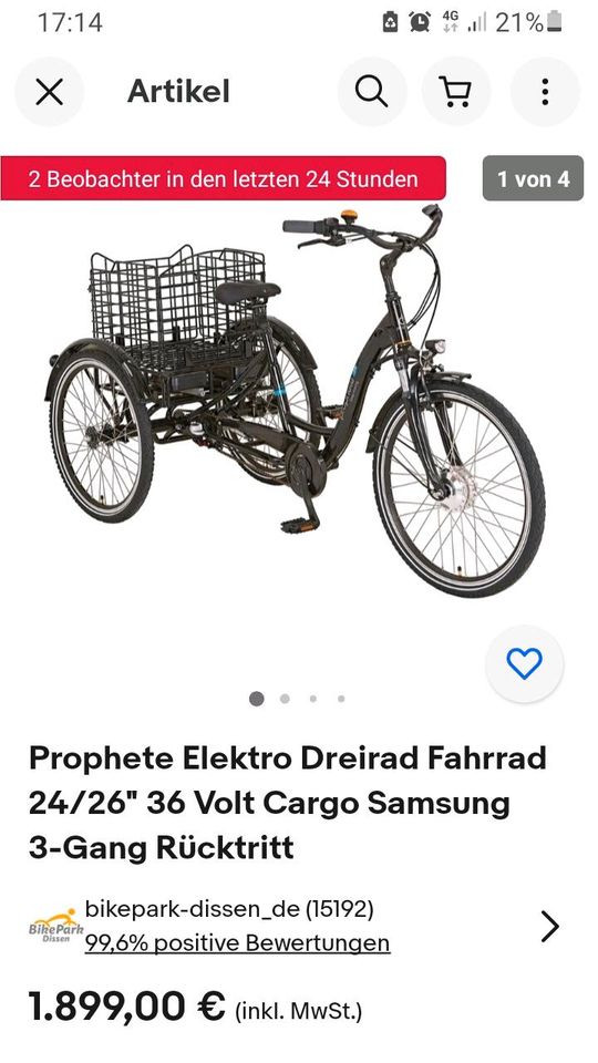 3 Rad Elektro Fahrrad Prophete in Pfalzfeld