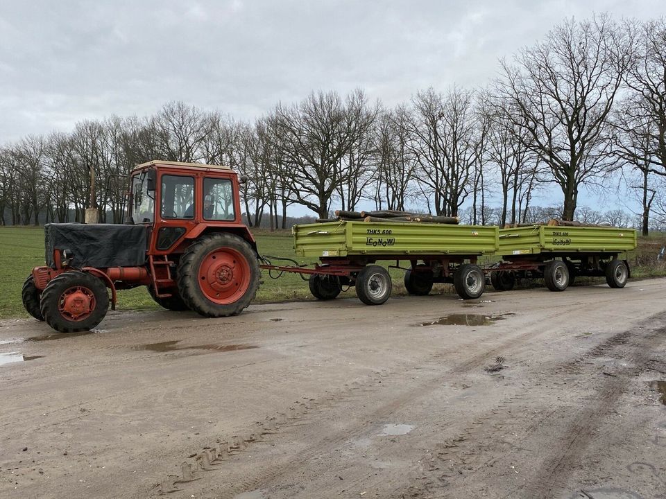 Brennholz Buchenholz Mischholz in Wittenburg