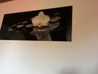 Glass Bild Weiße Orchidee. Bayern - Ingolstadt Vorschau