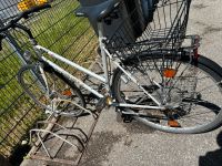 Damen Fahrrad Bayern - Freilassing Vorschau