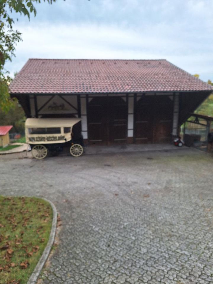 Pferdehof mit 8 Pferdeboxen, Zweifamilienhaus, PV Anlage 29 KW in Balingen