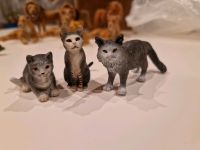 Schleich Katzen Schleswig-Holstein - Fockbek Vorschau