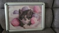 Bild DIAMOND PAINTING Katze (SV013) Nordrhein-Westfalen - Recklinghausen Vorschau