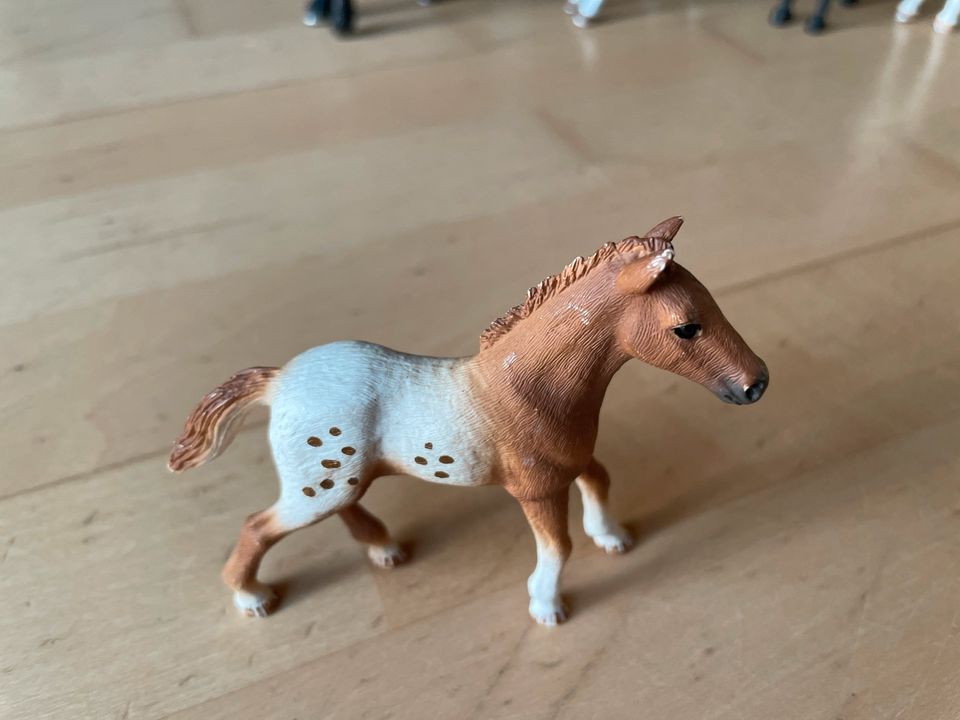 Schleich Pferde in Braunschweig