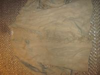 Designer Jacke/Bluse von Exettera beige Spitze Gr.5 (40/42) Nordrhein-Westfalen - Bad Driburg Vorschau