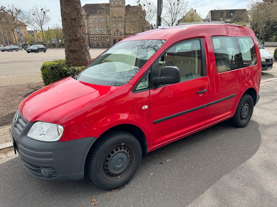 VW Caddy BJ 2008 TÜV 1/25 252T km ⭐️ Scheckheft & Winterreifen ⭐️ in Landau in der Pfalz