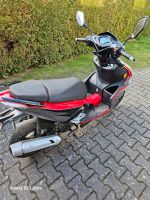 GT Union Striker 50 Roller Moped Motorrad Mecklenburg-Vorpommern - Klein Bünzow Vorschau