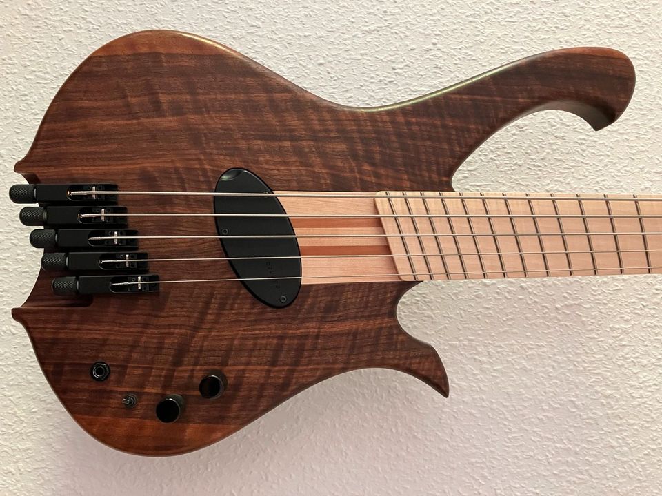 Bass, 5 string, Multiscale, Custom in Berlin