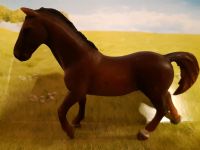 Schleich Pferd Trakhener Hengst repaint body Bayern - Kallmünz Vorschau